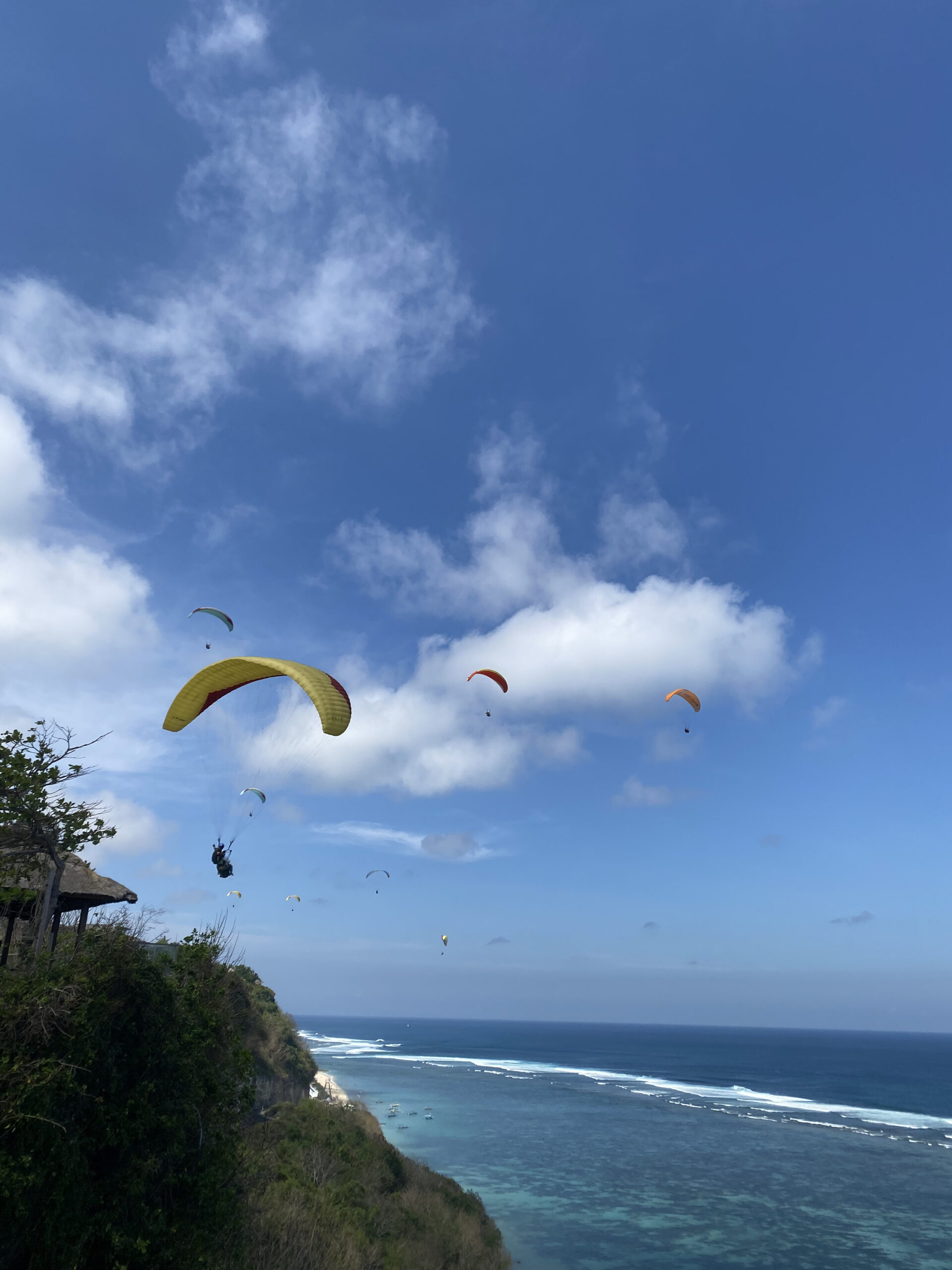 Panda Paraglding